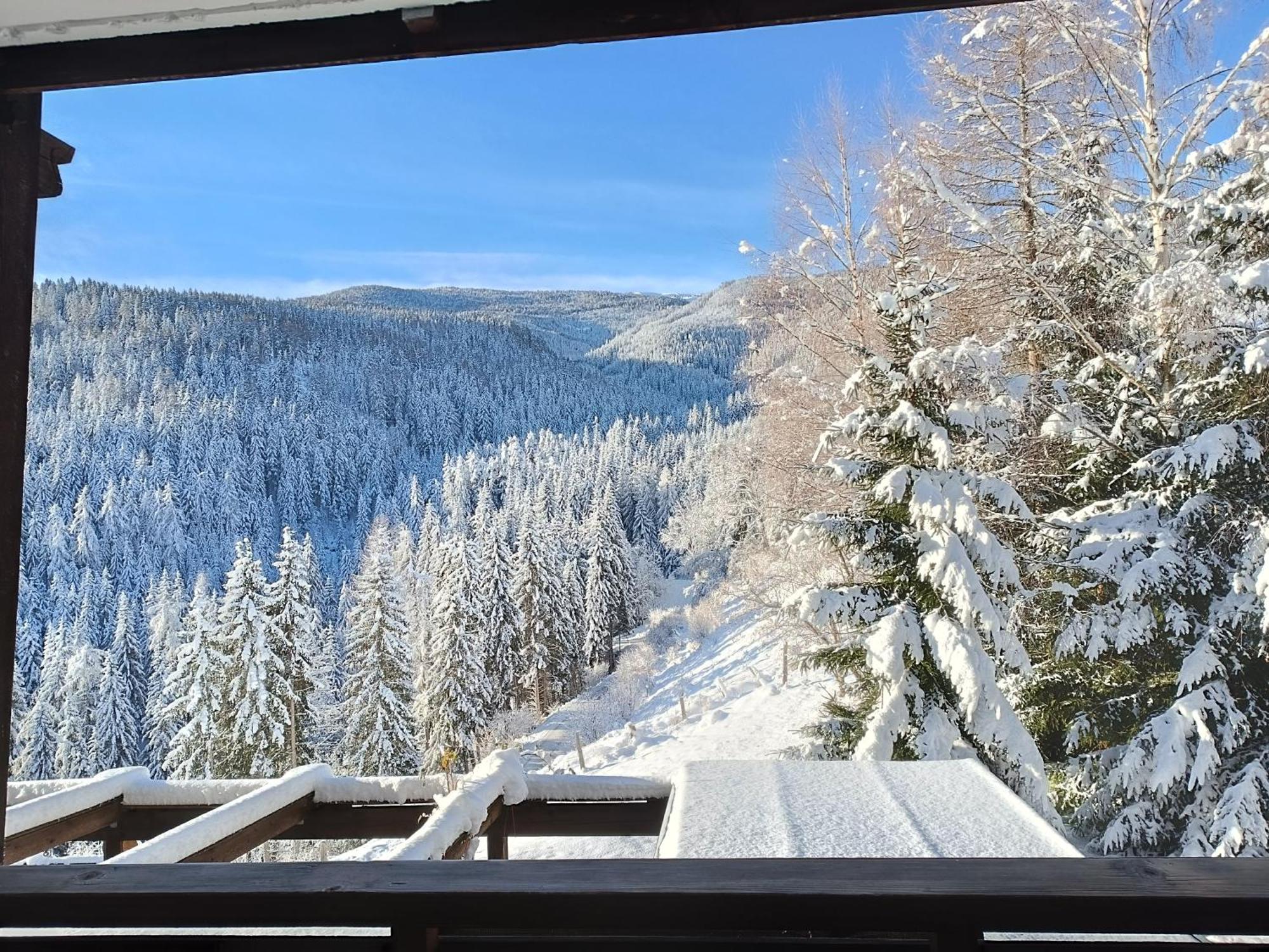 Bergkristall Ruhe Und Aussicht Auf 1100M Sankt Lorenzen ob Murau Exteriér fotografie